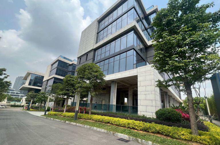 松山湖区域独栋项目