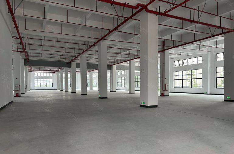 松山湖地址15元，卸货平台，5吨货梯，丙2类消防，电到户。