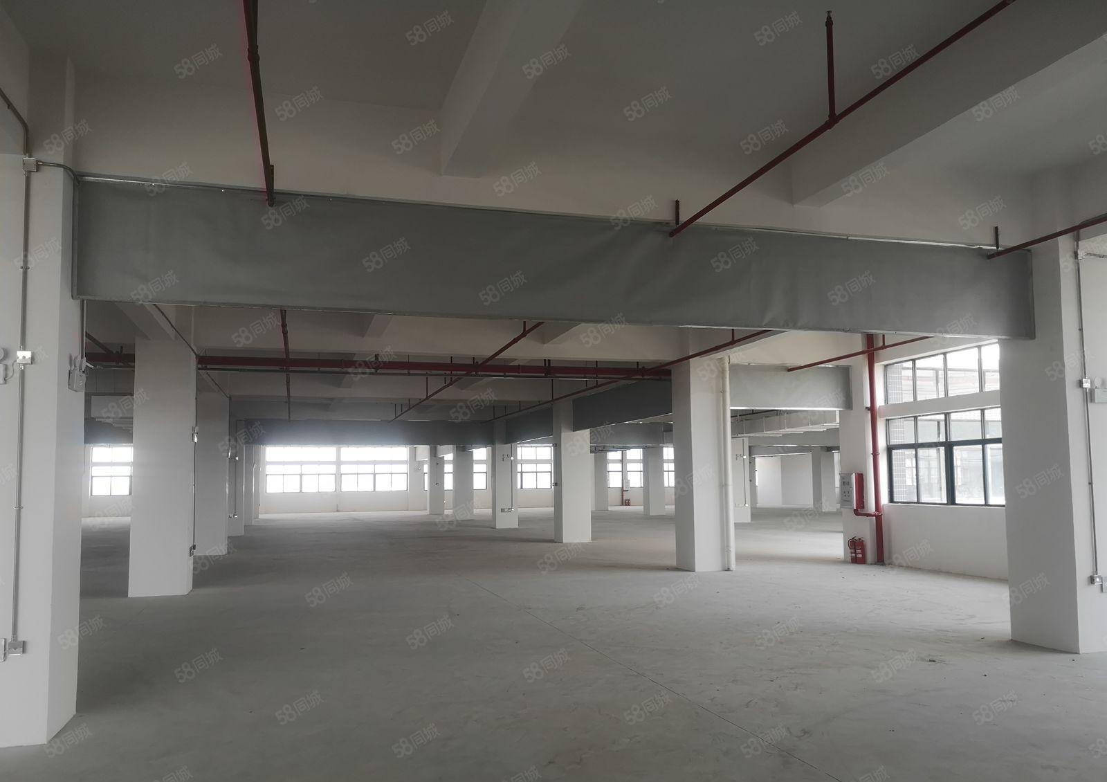 松山湖低价厂房出租，也有仓库出租，土地出租，大小面积可分租