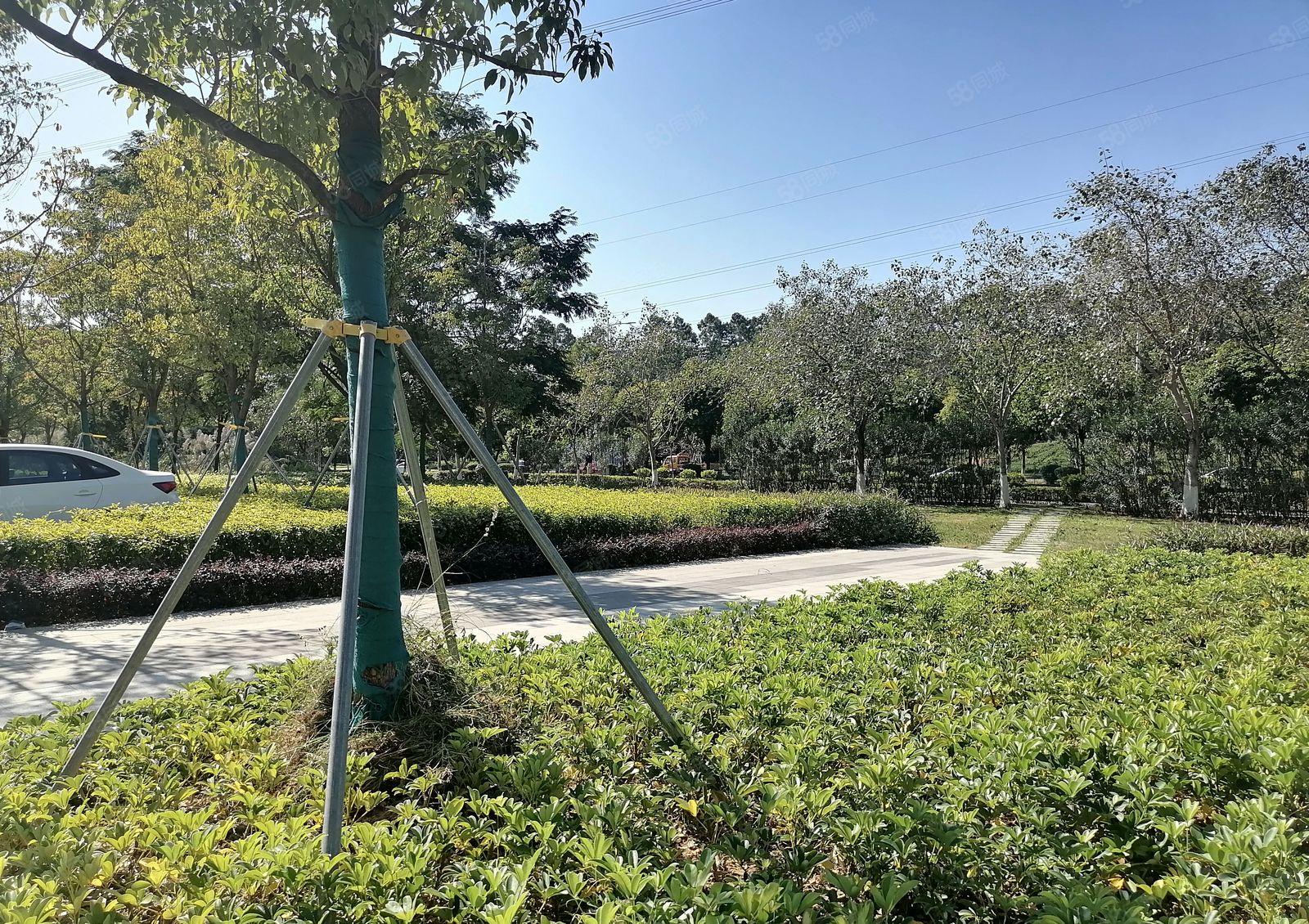 松山湖全新原房东一手红本科技园招商，实际面积出租，可申请补贴