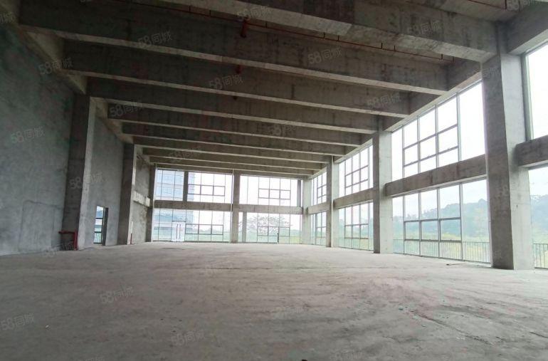 厂房出租松山湖工业路原房东独院标准厂房2层