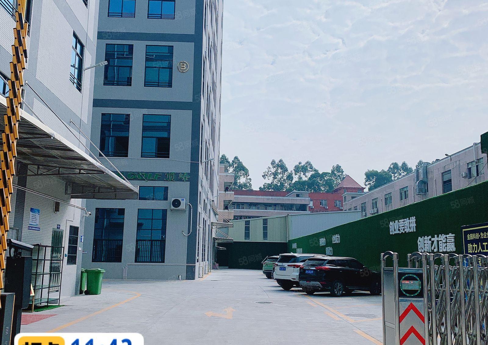 松山湖业主独院厂房金园科创精装1000平方米带5吨货梯出租