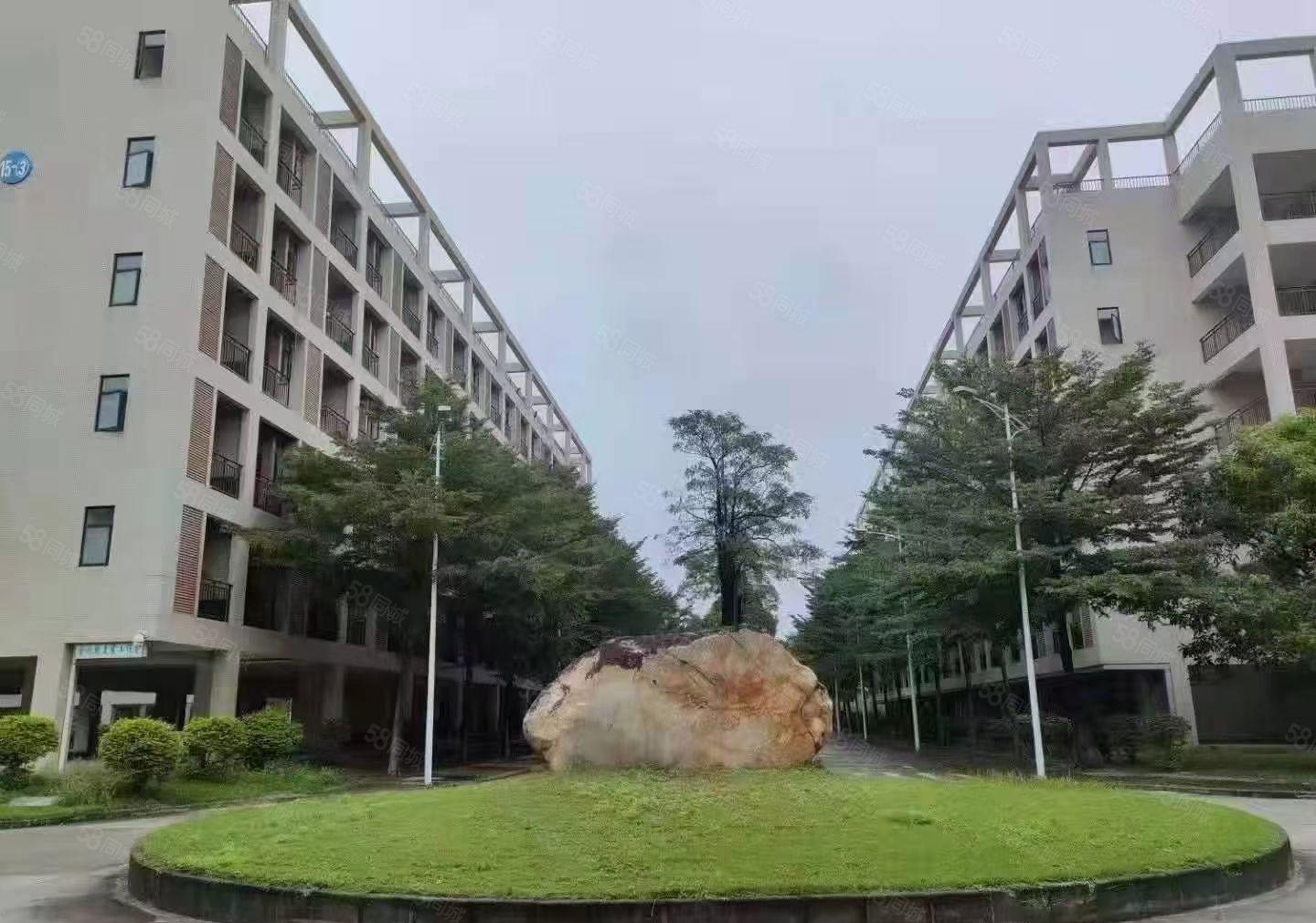 松山湖新出国有双证独院厂房150000平方，起分7000平方