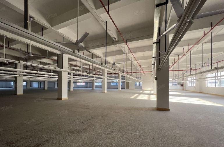 东莞松山湖邻大朗国有红本双证独院厂房招租，精装修水电全拎包入