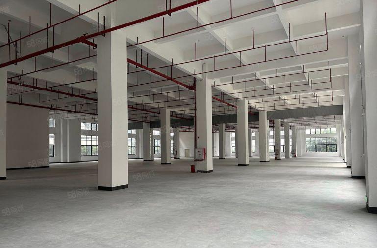 松山湖地址15元，卸货平台，5吨货梯，丙2类消防，电到户。