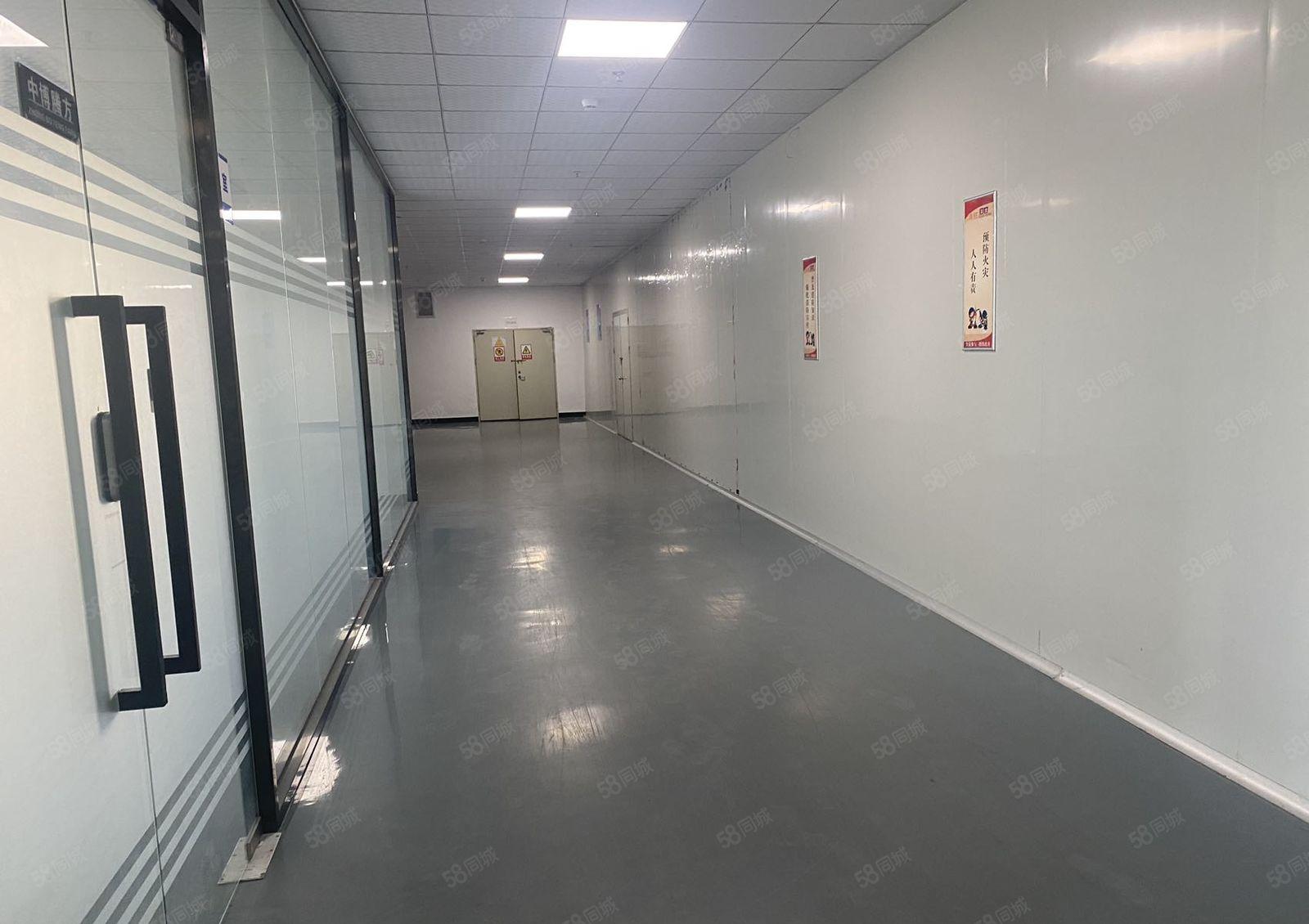 松山湖十万级无尘车间9000平方，全部带精装修，大小可分租，