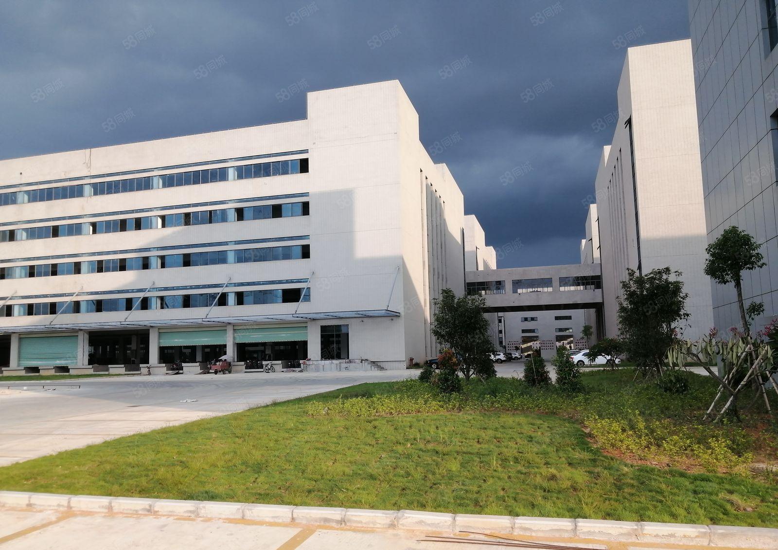 松山湖高新区精装修独院红本重型厂房20000方，大小分租！