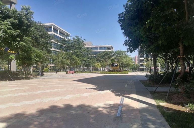 松山湖原房东28万平厂房出租，大小可分环境优美，形象好