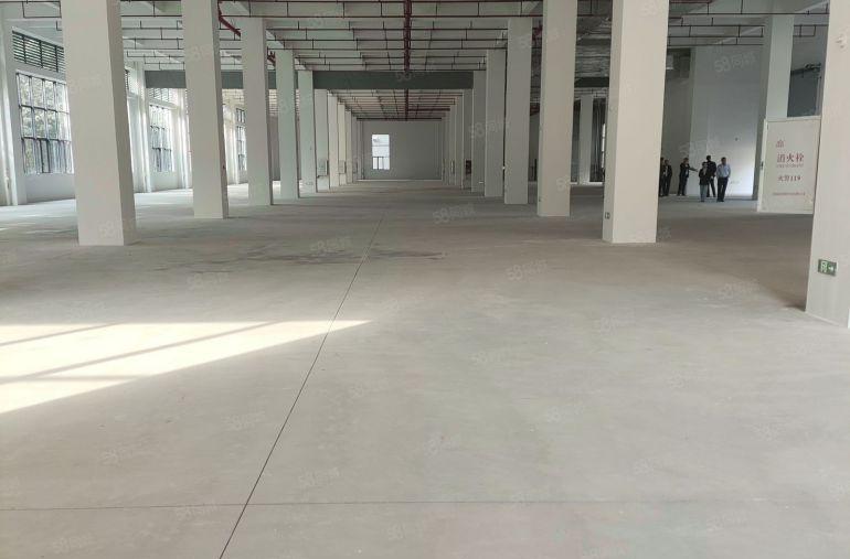 松山湖独栋厂房，5吨货梯可办环评，享受优惠政策特价13元急租