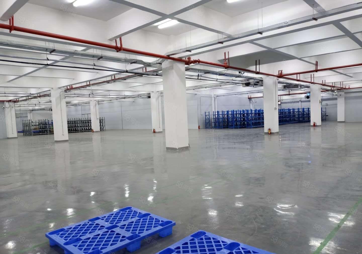 松山湖低价厂房出租，也有仓库出租，土地出租，大小面积可分租