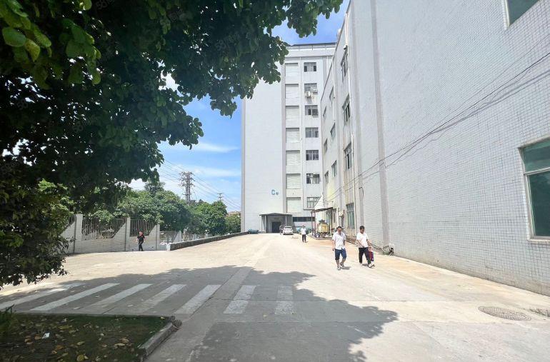 东莞松山湖，红本花园式厂房，总面积77000