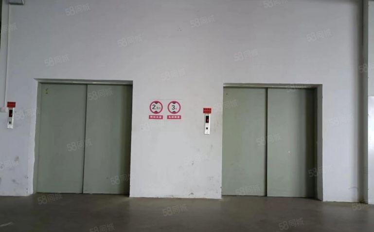 松山湖原房东标准厂房出租，无公摊，大小可分租