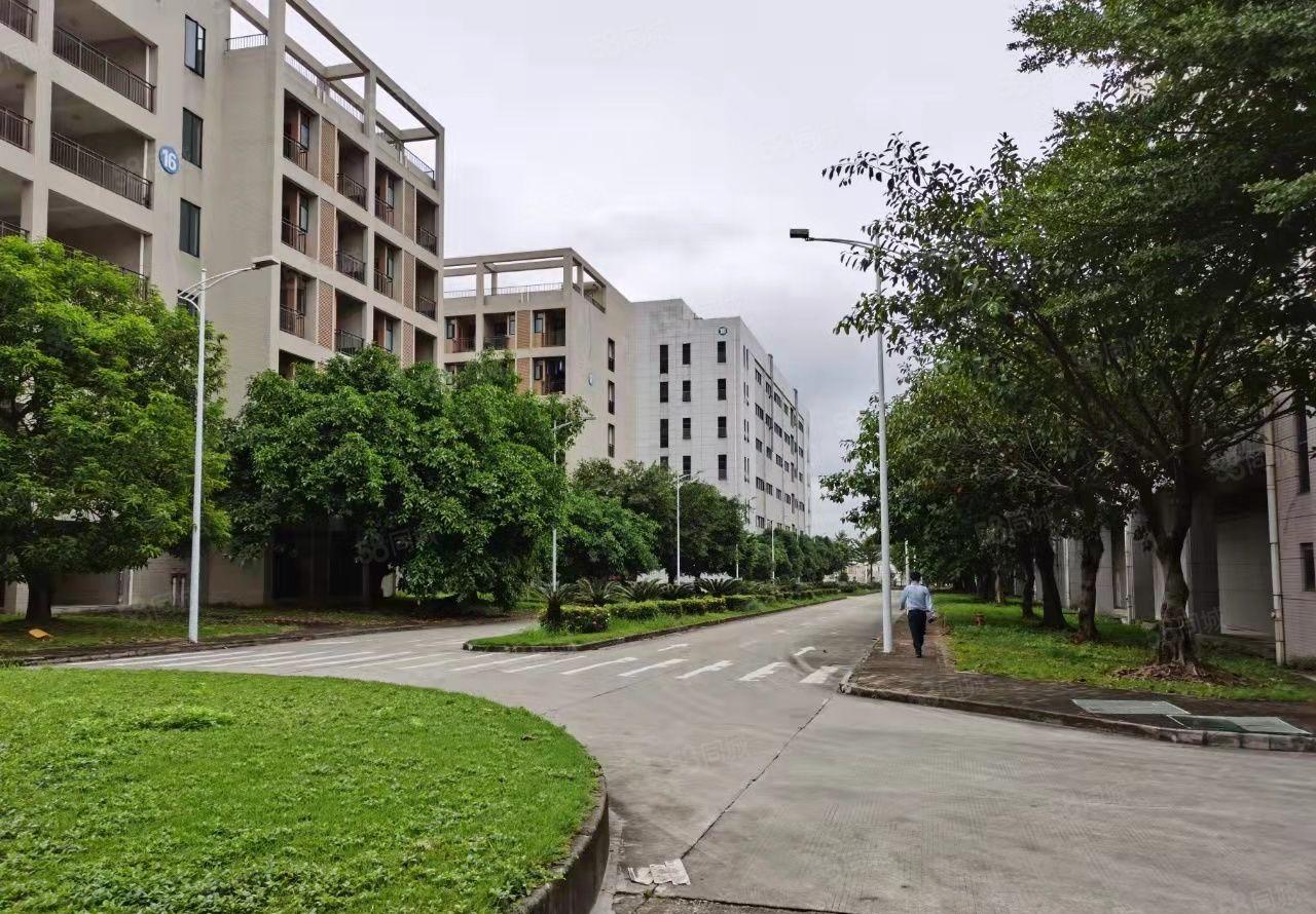 大岭山镇花园式红本工业园标准厂房出租 可办环评 带红本