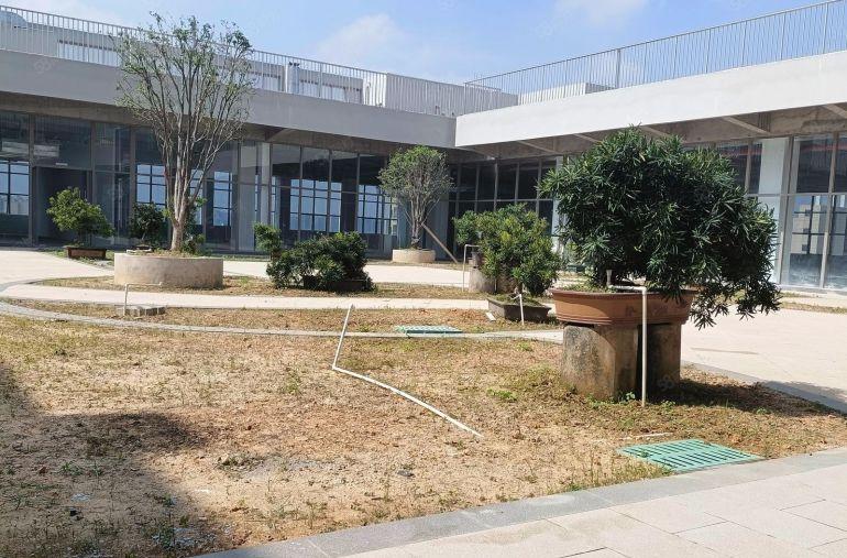 松山湖全新国有证带花园工业厂房出租