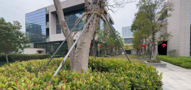 松山湖写字楼出租，享受松山湖补贴政策，形象好配套齐全价格优惠