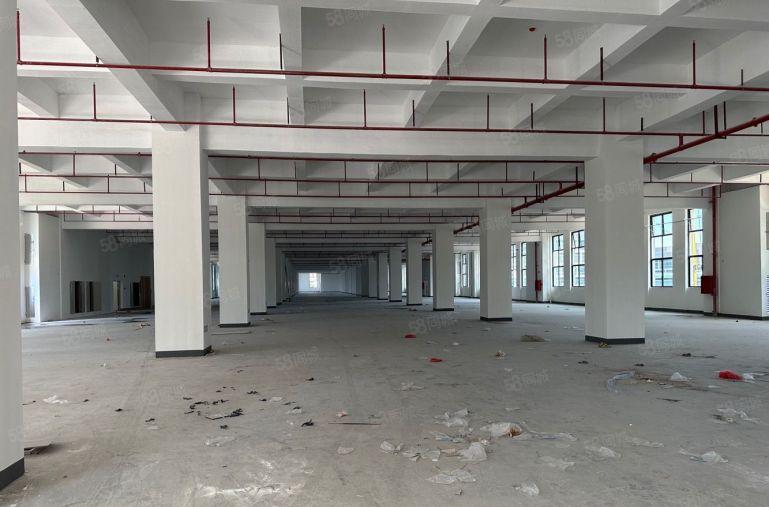 原房东无公摊，真正松山湖工业厂房直租，配套齐全。