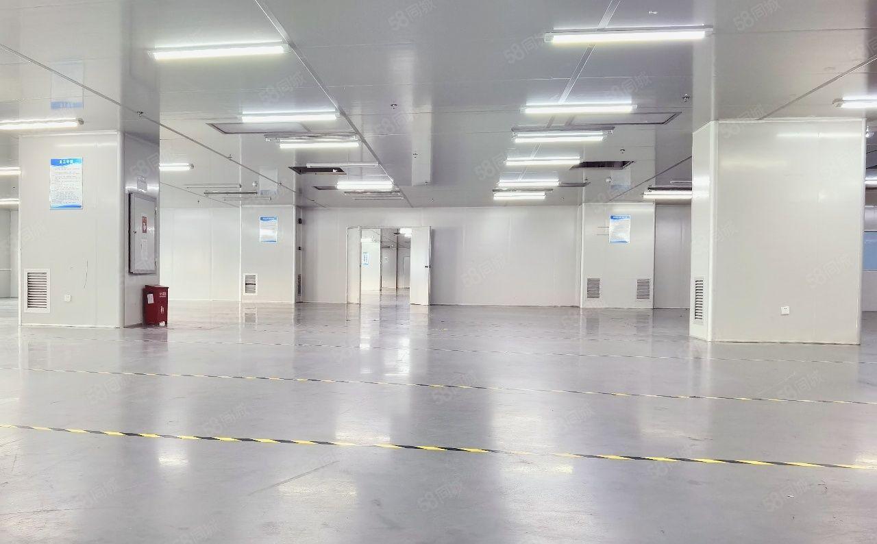 松山湖十万级无尘车间9000平方，全部带精装修，大小可分租，