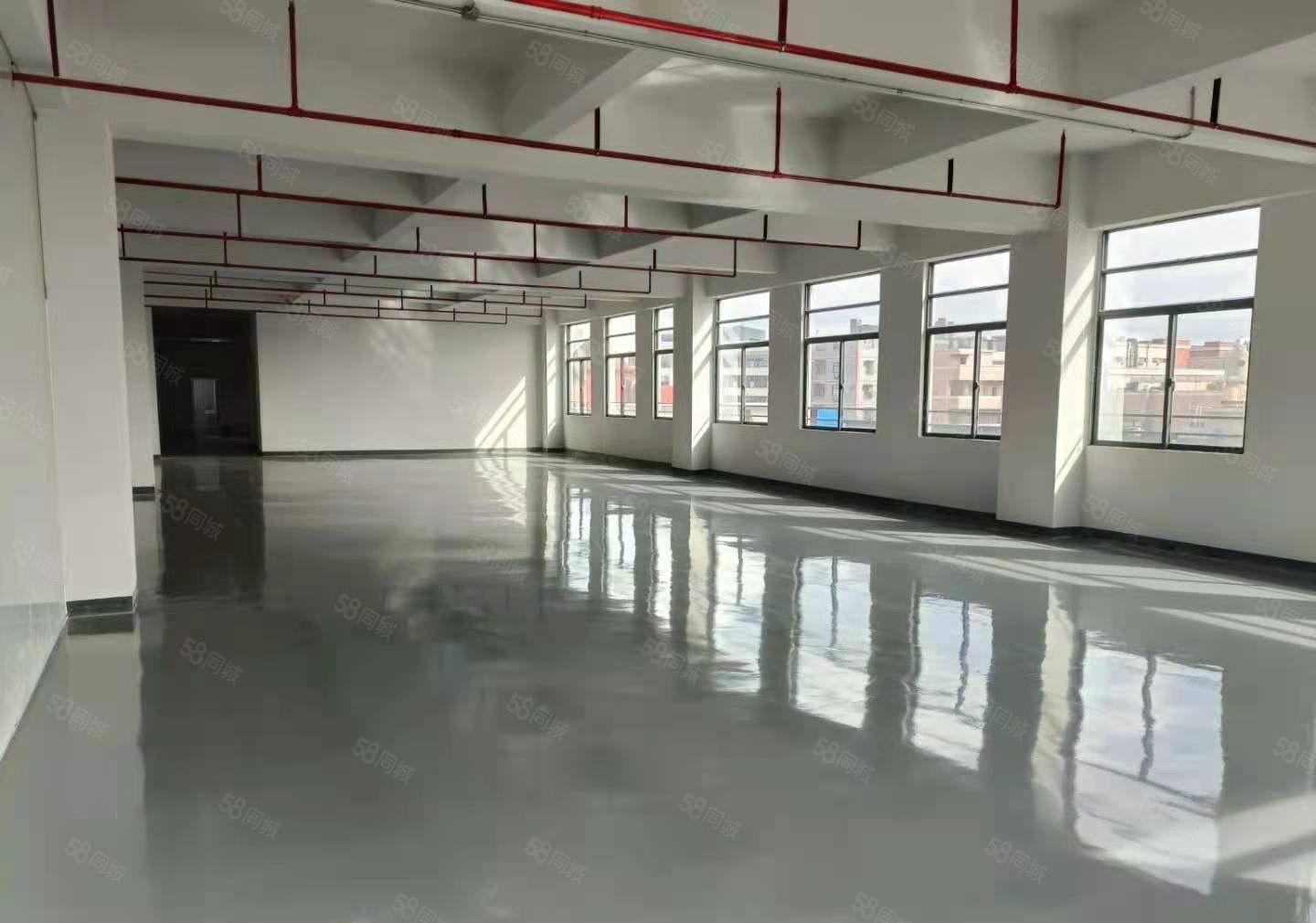 松山湖业主独院厂房金园科创精装1000平方米带5吨货梯出租