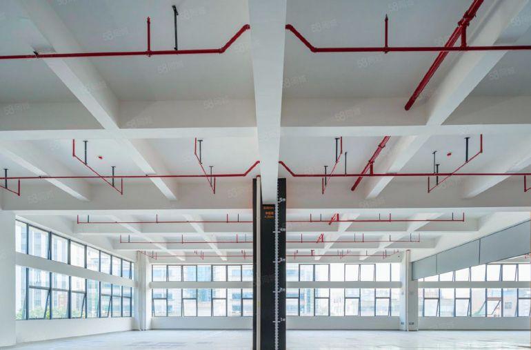 松山湖华为旁开发商带装修全新实用面积红本高标厂房直租