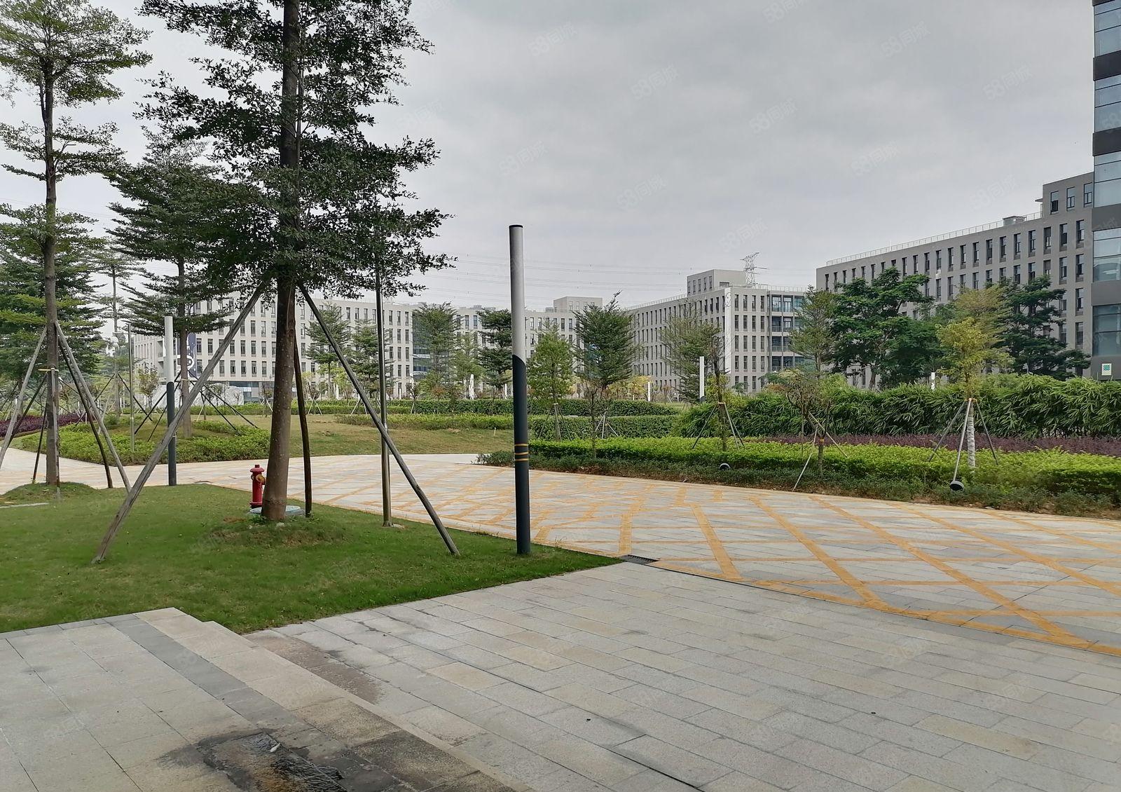 松山湖全新原房东红本科技园招商，靠近龙大高速，可申请政府补贴