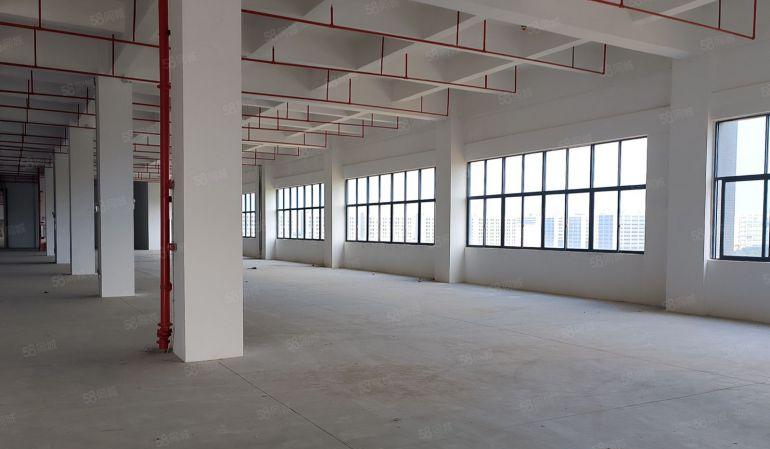 松山湖 天安云谷 厂房出租 厂房 仓库 无尘车间 独院小厂房