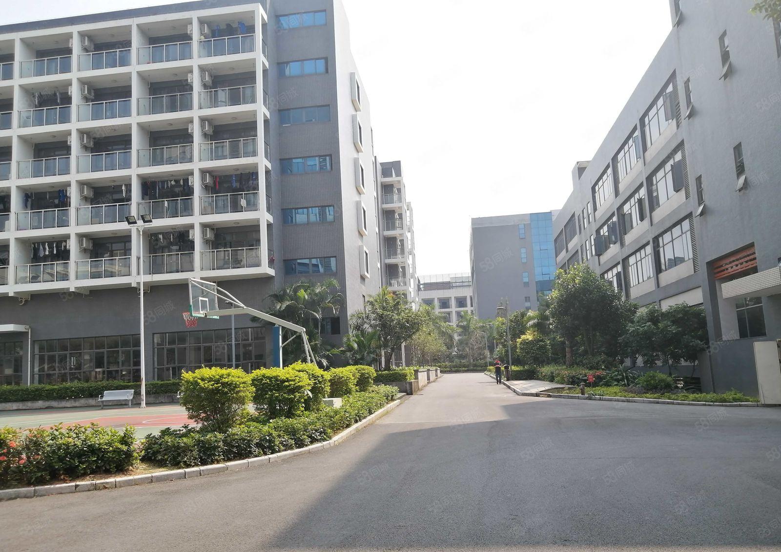 松山湖华为总部附近红本重型厂房12000方带豪华装修分租！！