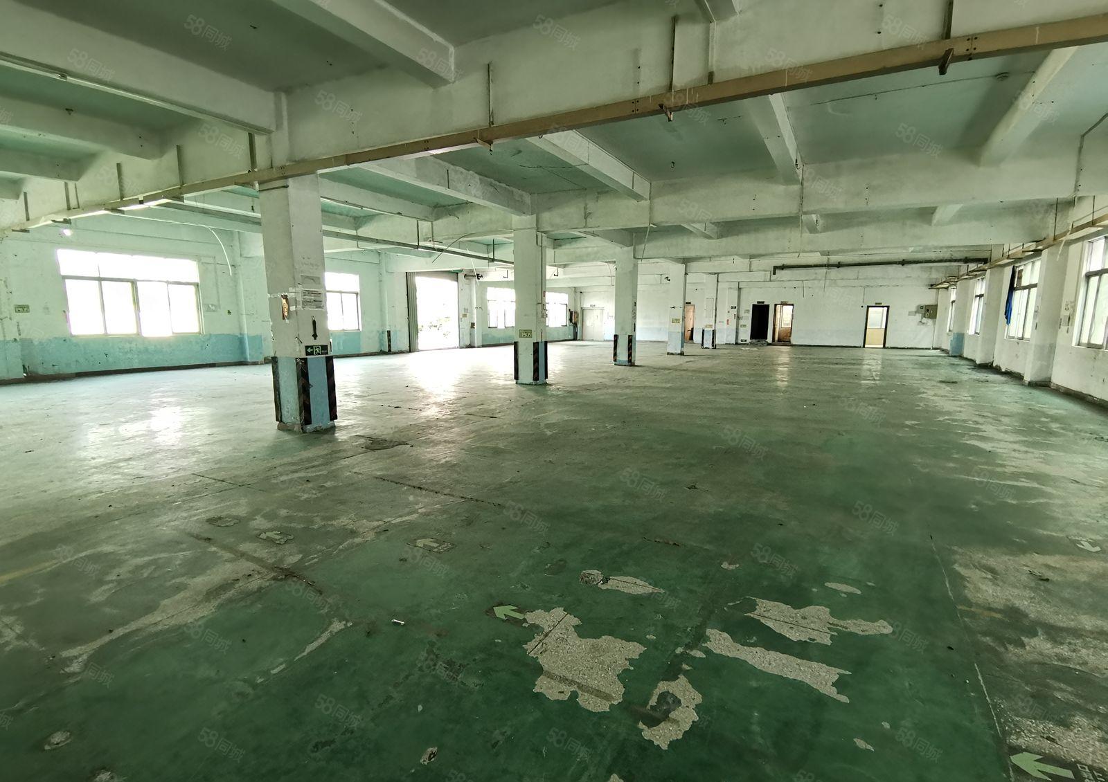 独院两层厂房宿舍5000平方米出租