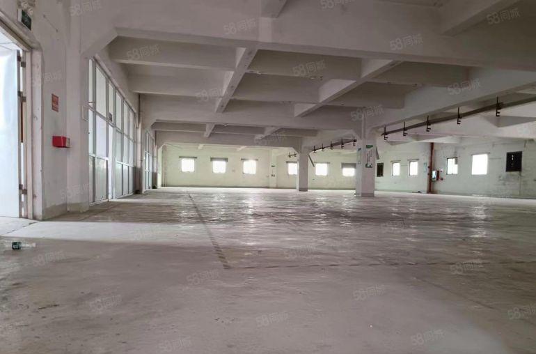 大朗 松山湖原房东红本独院 实际面积13元 可办环评