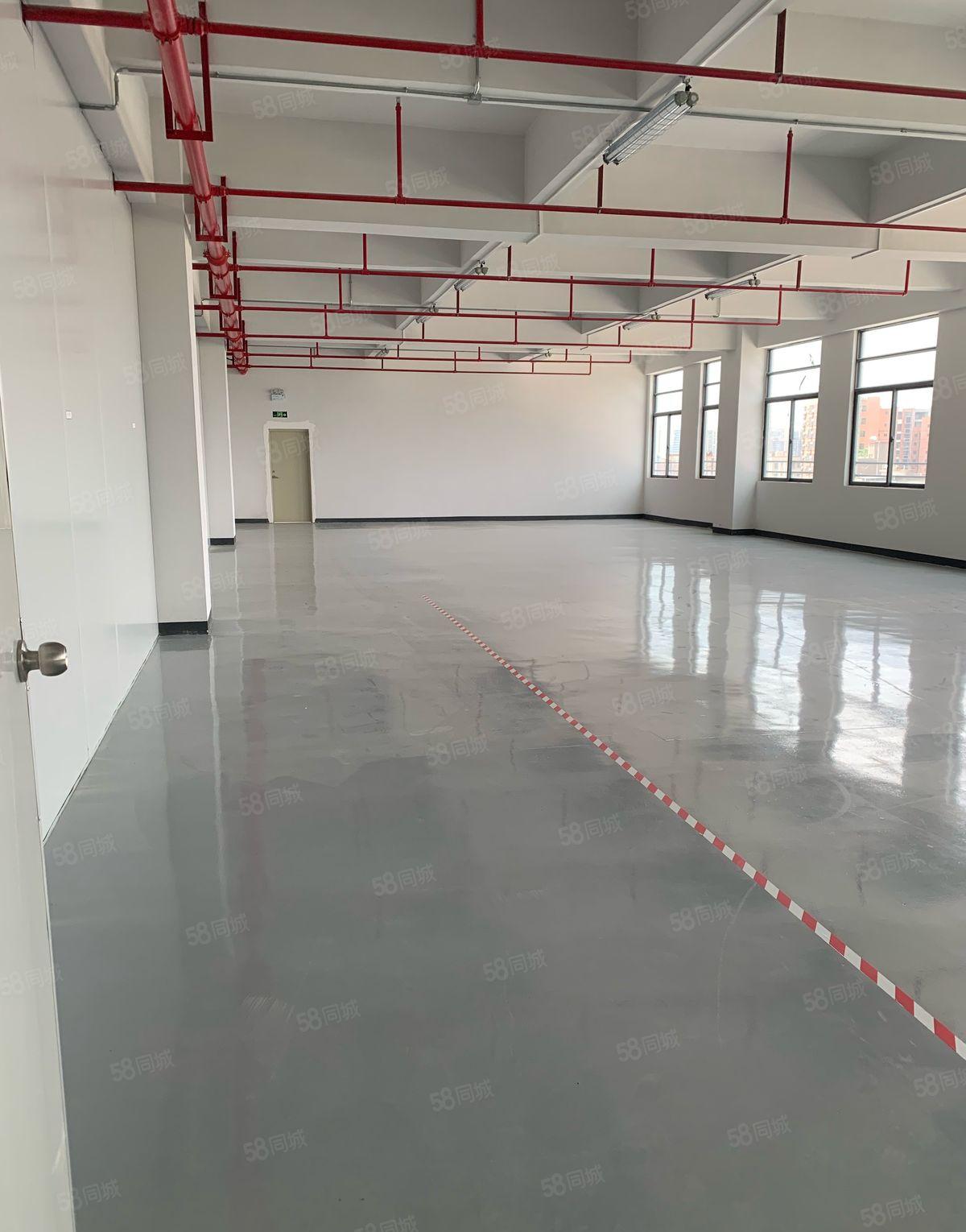 松山湖独院厂房金园科创1000平米带5吨货梯精装出租