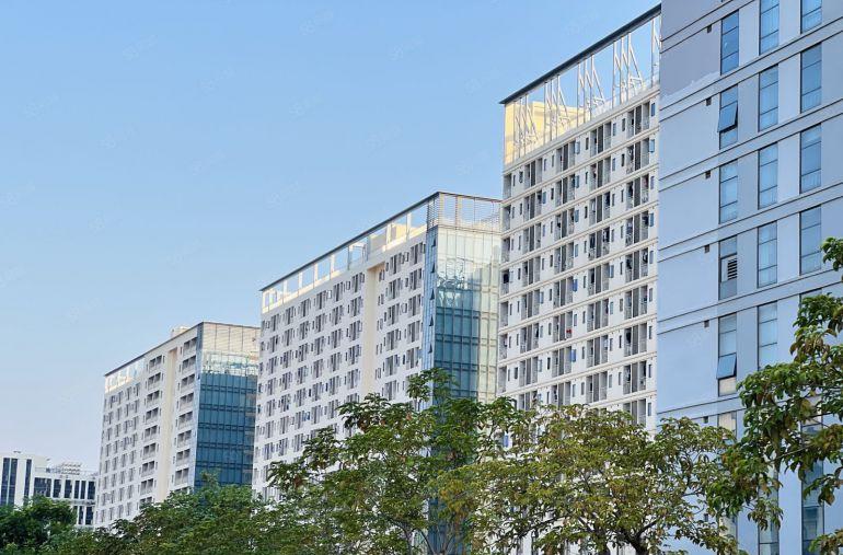 松山湖区域石大路高速路口原房东全新红本花园式出租500平起租