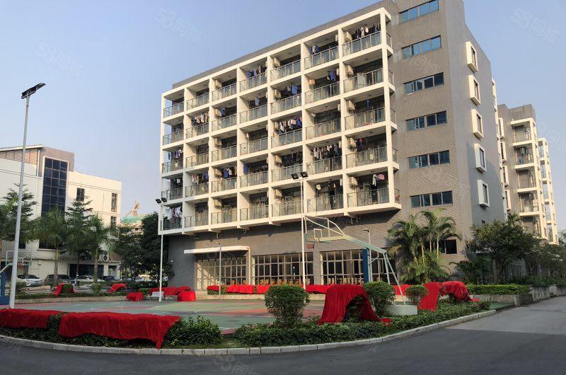 松山湖高薪企业4500平方厂房招商