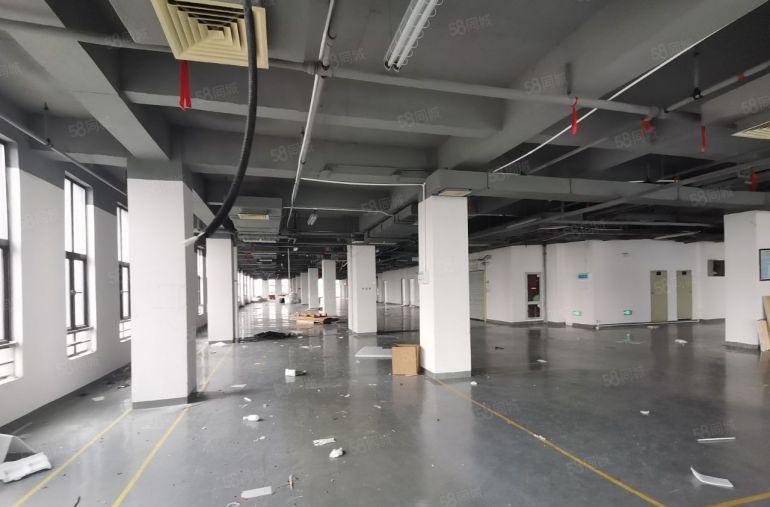 特惠松山湖高标办公室厂房出租企业总部带空调车位 享受政策补贴