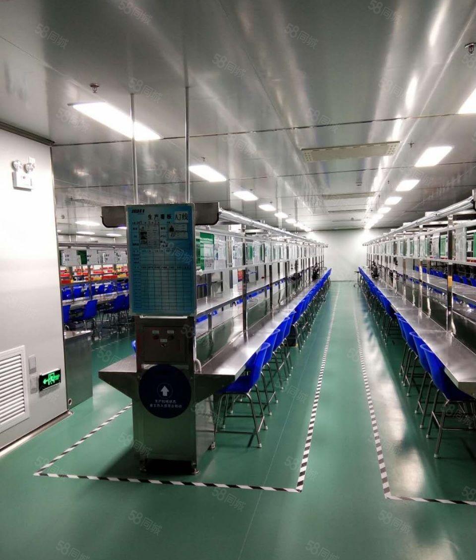 松山湖低价出租小面积带豪华装修1000平方起带多个停车位空地