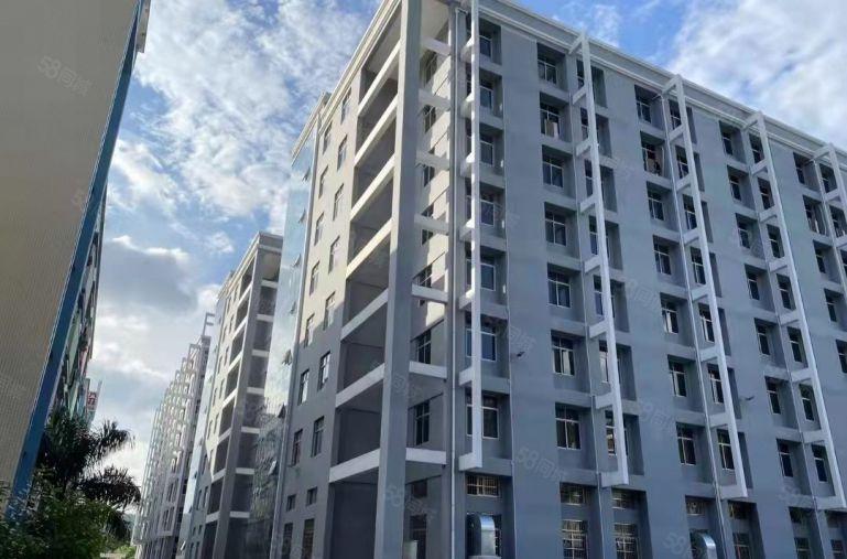 全新厂房，全新地坪漆，原房东自建厂房，自已直租，11块一平