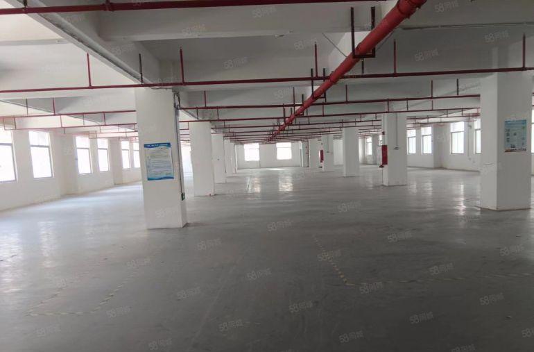 整层带装修，带办公室，原房东物业，价格低至12块一平