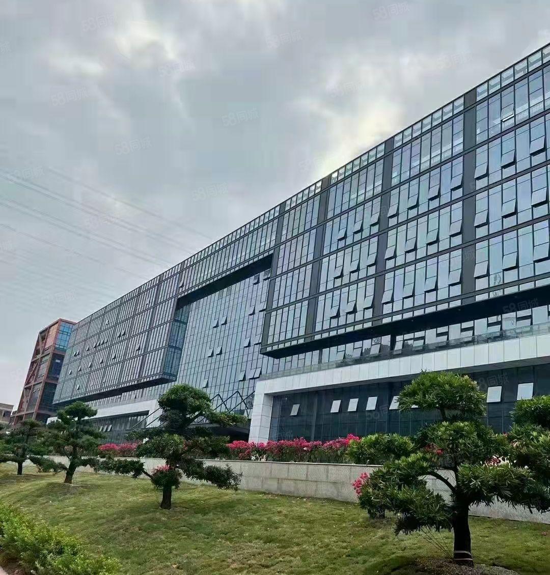 光明中山大学附近全新高端厂房8万平米招租配有全新2部4吨大货