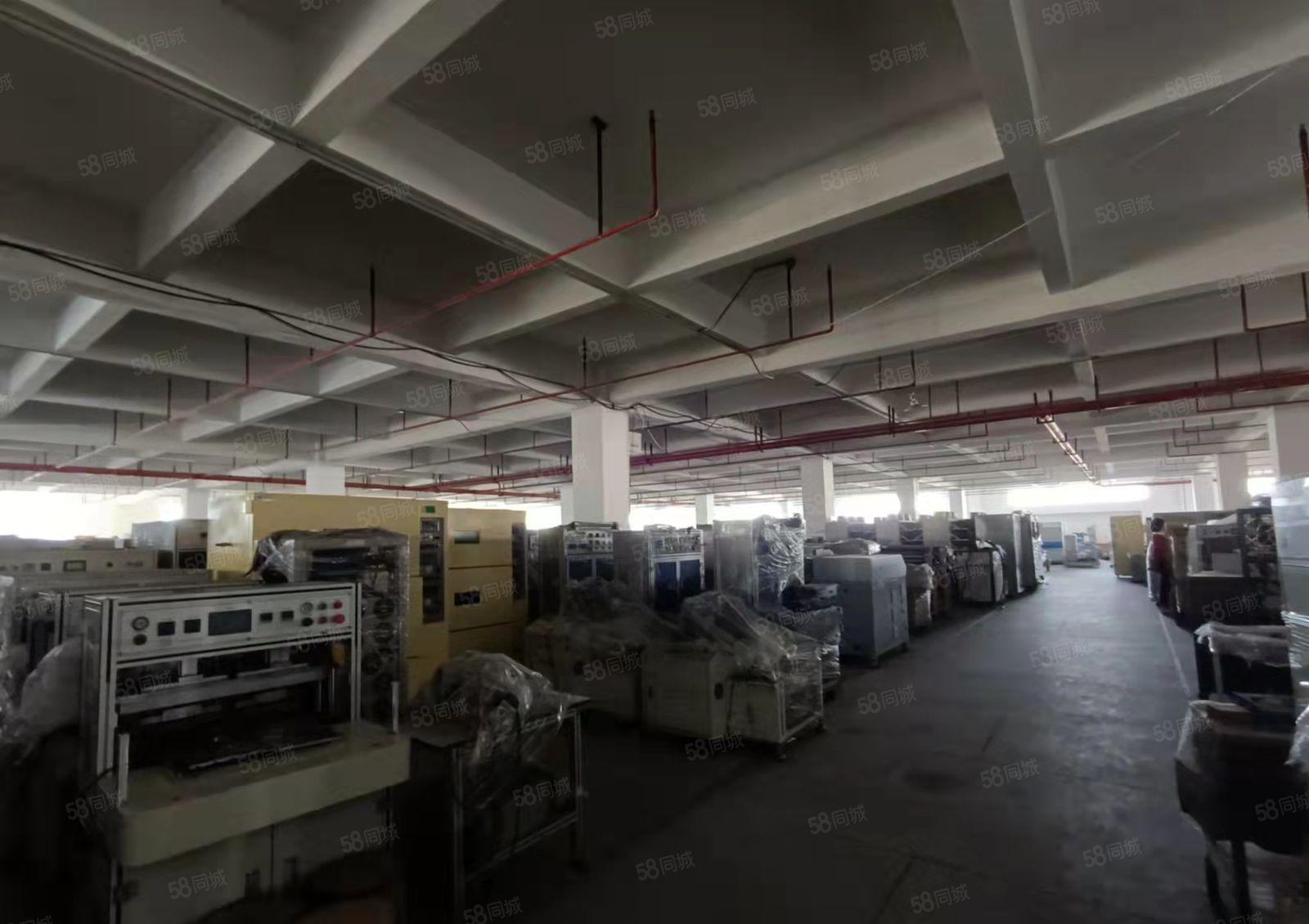 黄江镇新出原房东厂房出租整层4000平方无公摊