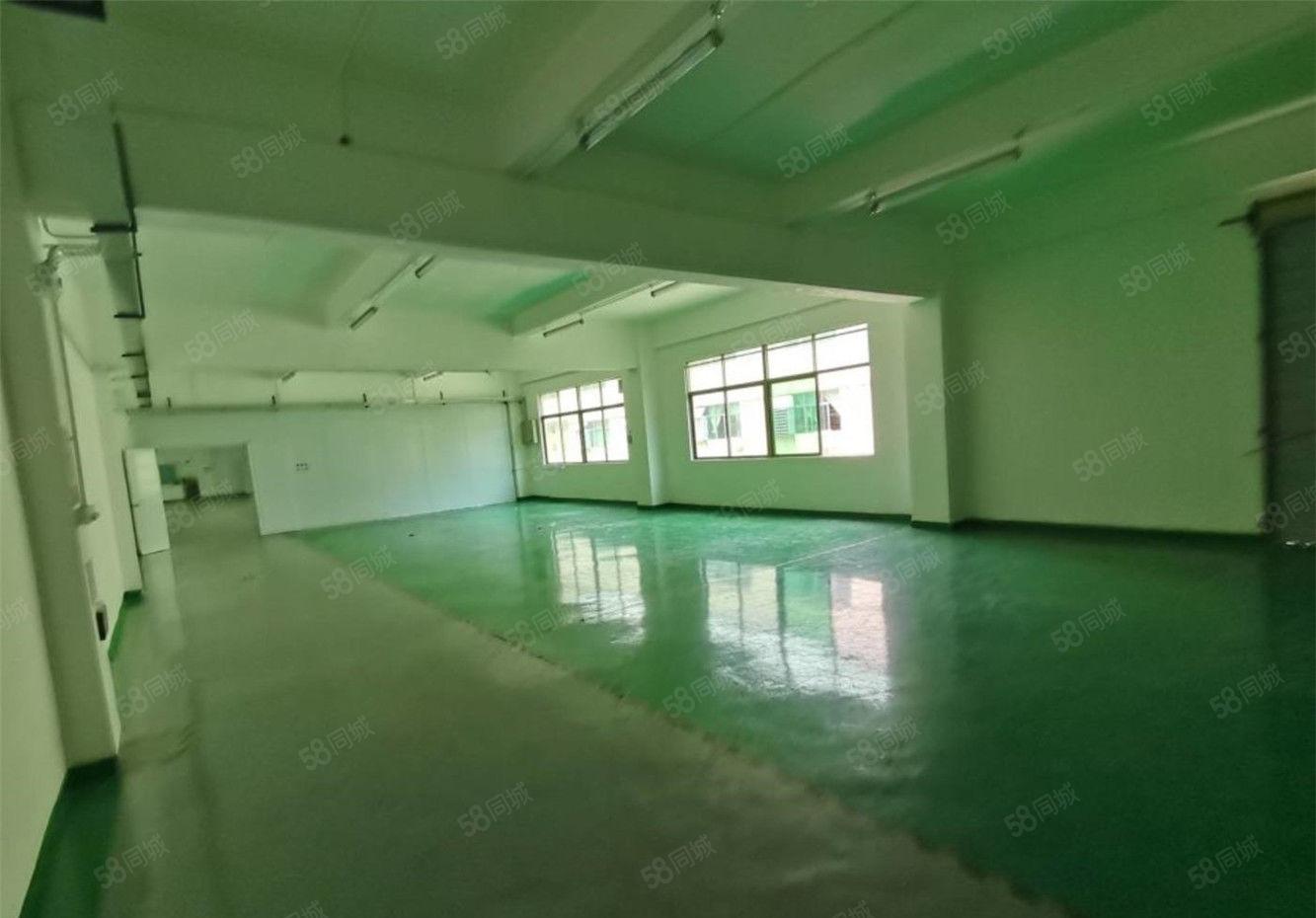 黄江标准厂房出租楼上1100平方，工业区厂房不限行业可办环评