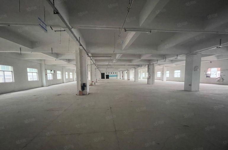 黄江镇临深二楼整层2400平低价出租有办公室好招工