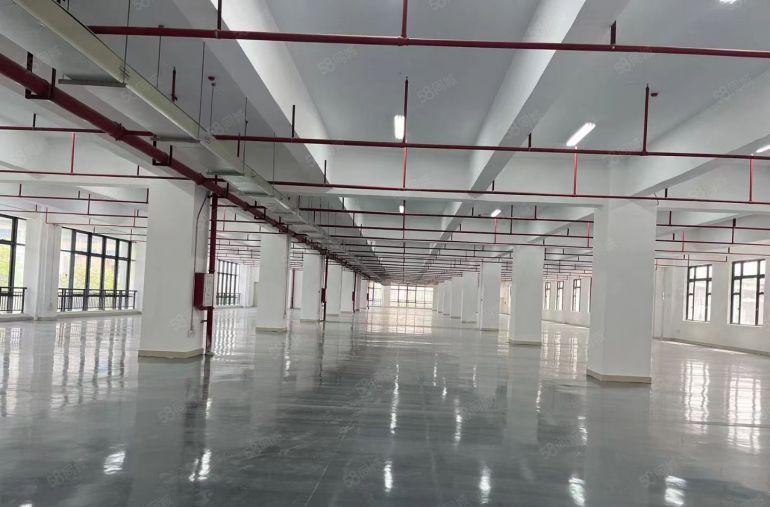 黄江推出独院特价厂房10元平，空地大，交通好！