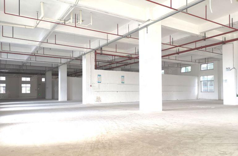 一楼，原房东自建红本厂房，大园区环境好，大量停车位