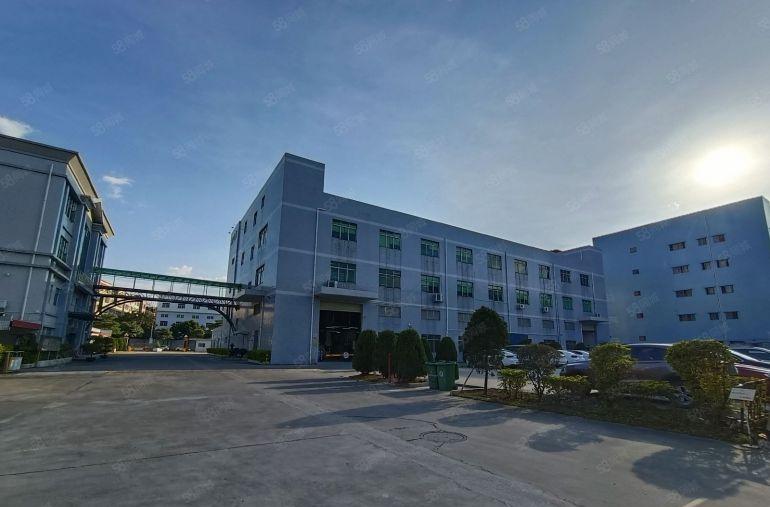 黄江新出原房东标准一楼1500平带牛角现成行车水电齐全低价甩