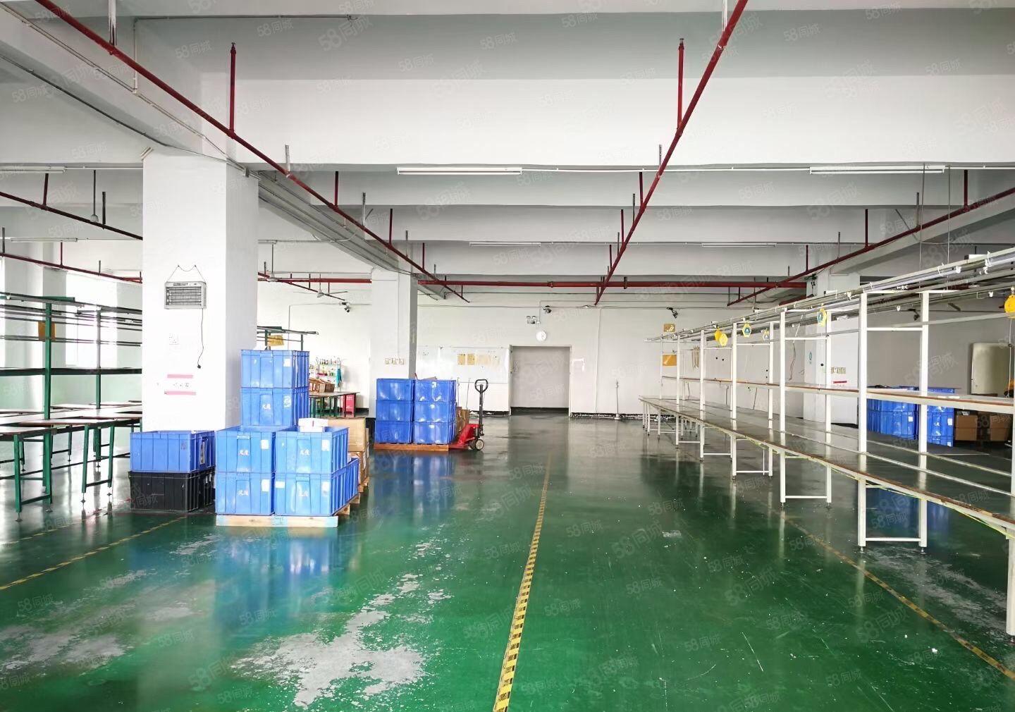 黄江镇龙见田村原房东带装修2楼1600平房厂房出租