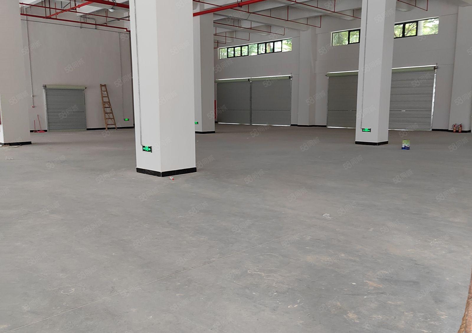 塘唇工业园新建独栋18000平全新重工业厂房现低价出租