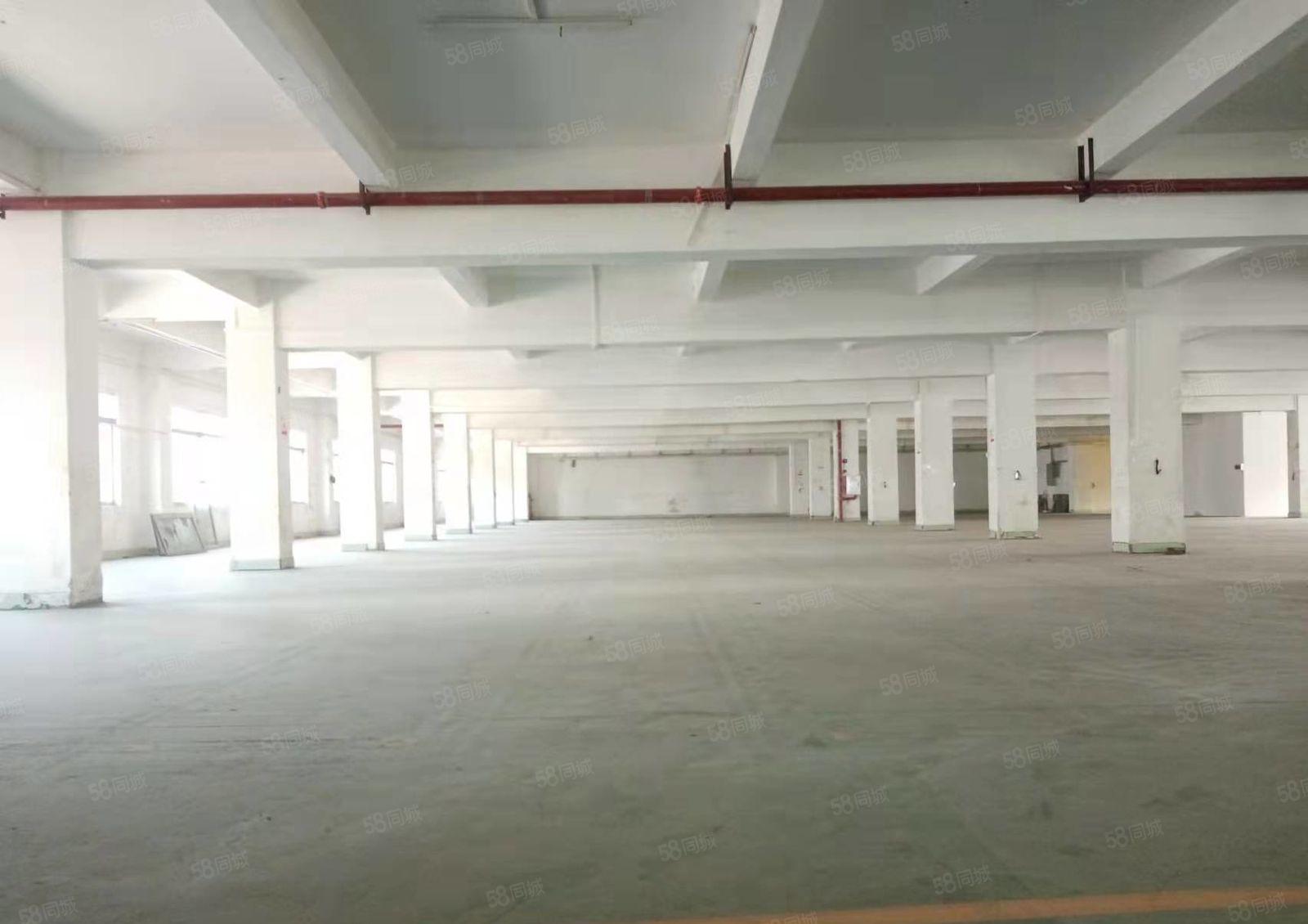 东莞黄江高速路口原房东低价厂房急速度出租