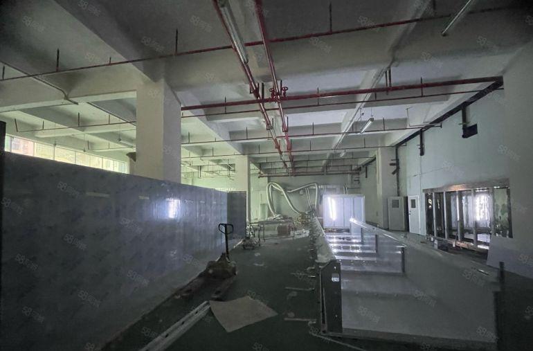 黄江镇原房东一楼1280平5.5米高低价出租23可谈