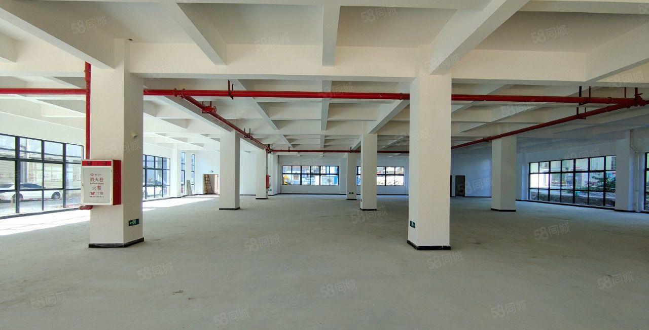 黄江镇临深片区全新标准独院9300平方米出租