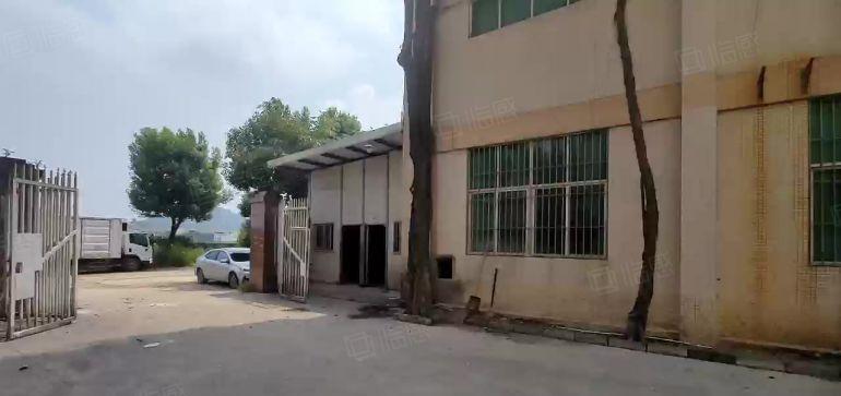 大冚原房东独院5400平方一楼7.5米