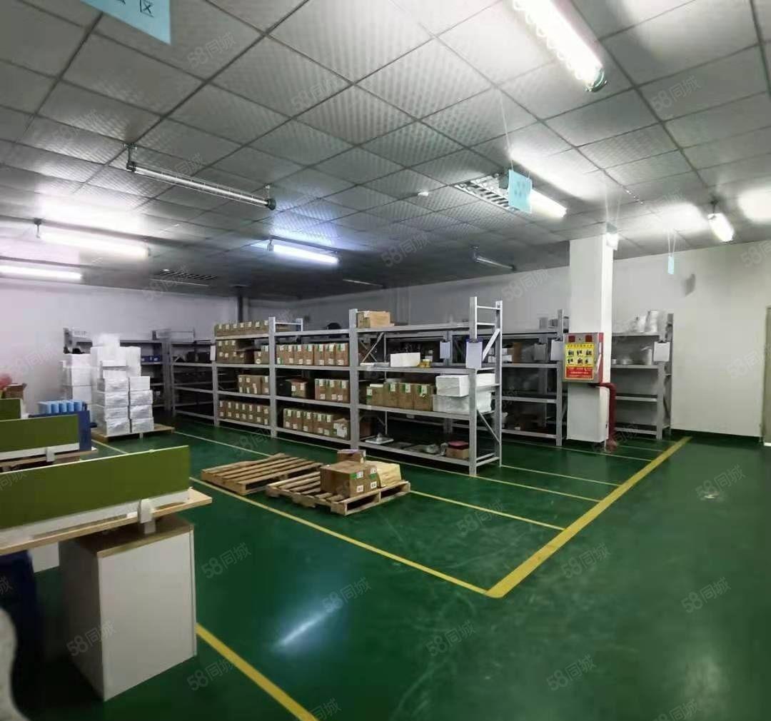 黄江镇田美社区花园式独院厂房总园区7000平方欢迎来电了解