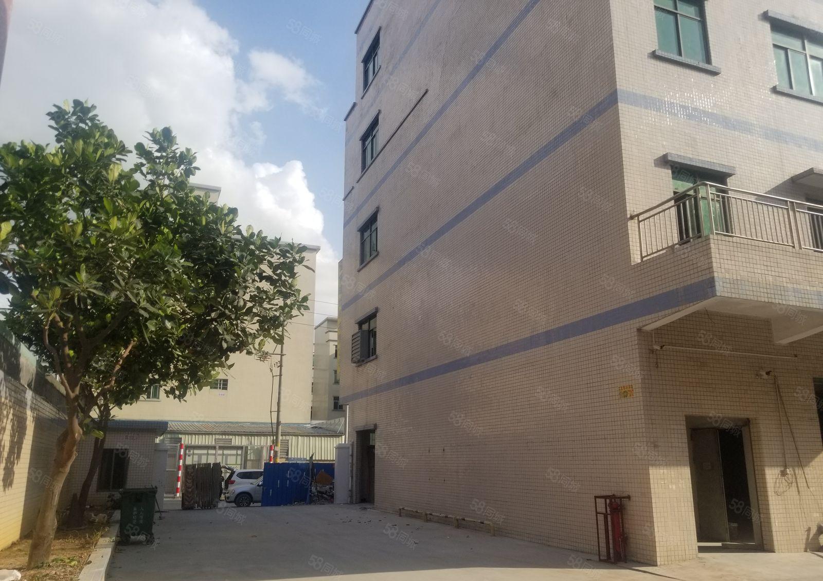 黄江高速入口全新原房东标准独院厂房招租